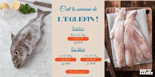 Arrivages du matin – poissons ultra frais