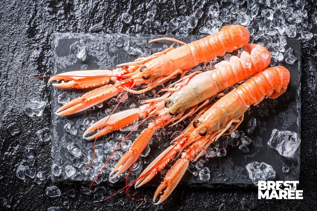 Langoustines Cuites