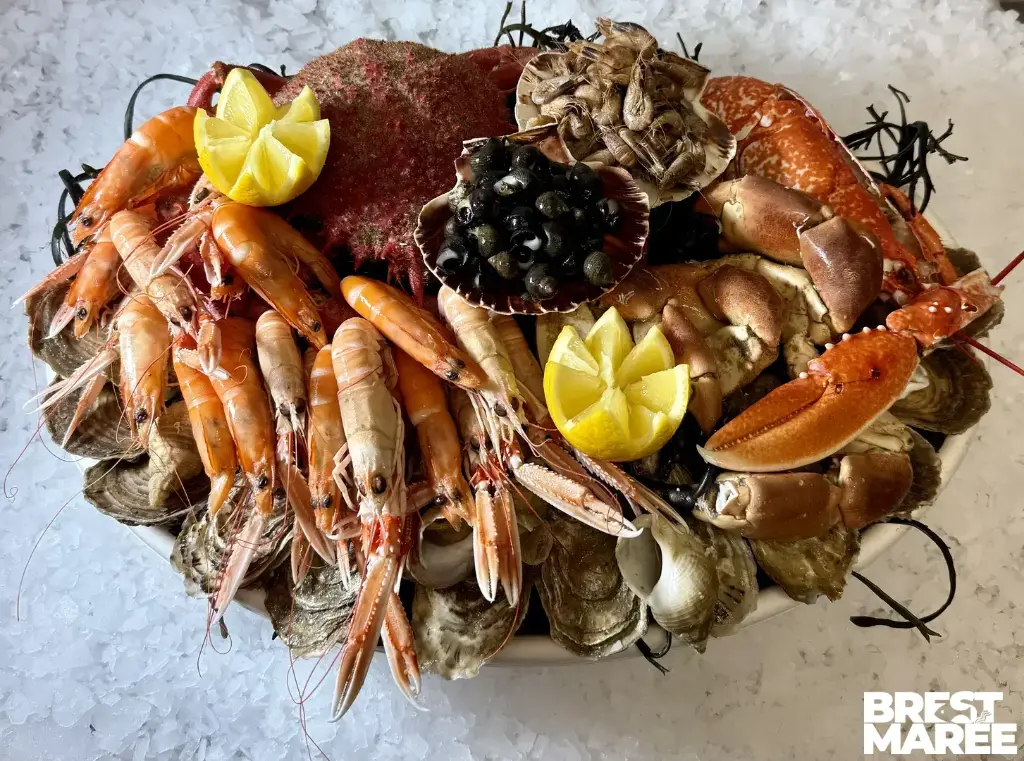 Plateau de Fruits de Mer " Brest Marée "