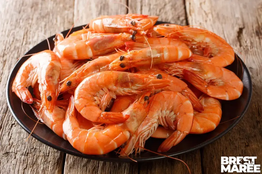 Crevettes Roses Cuites