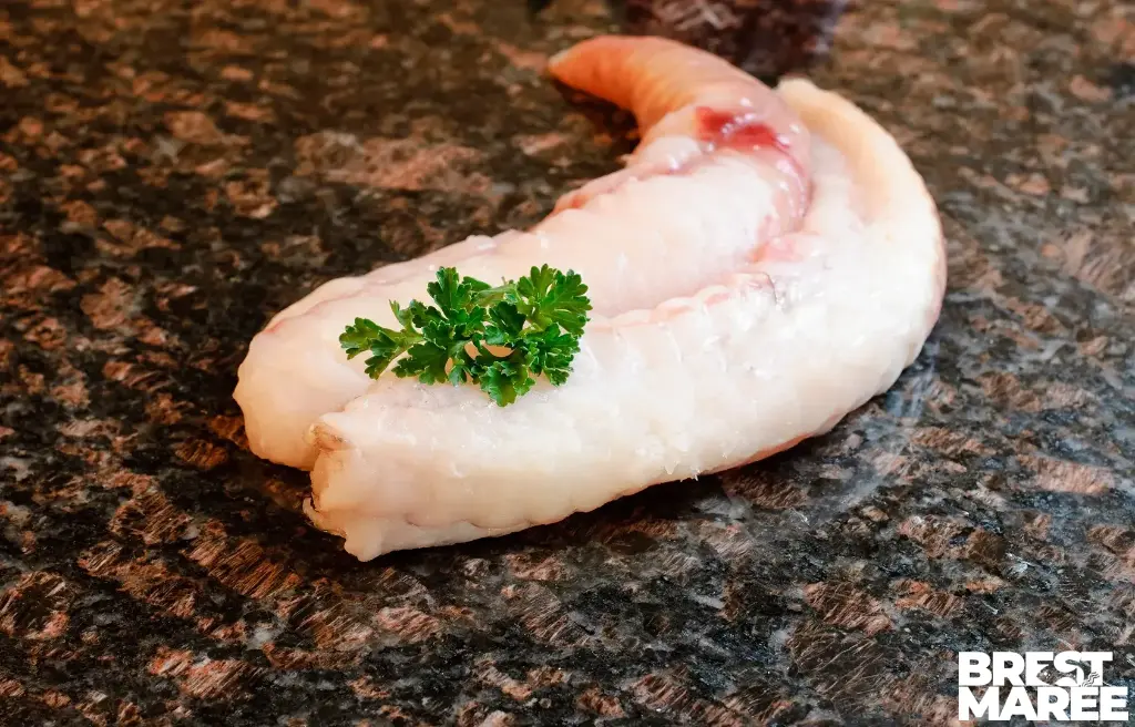 Filet de Lotte