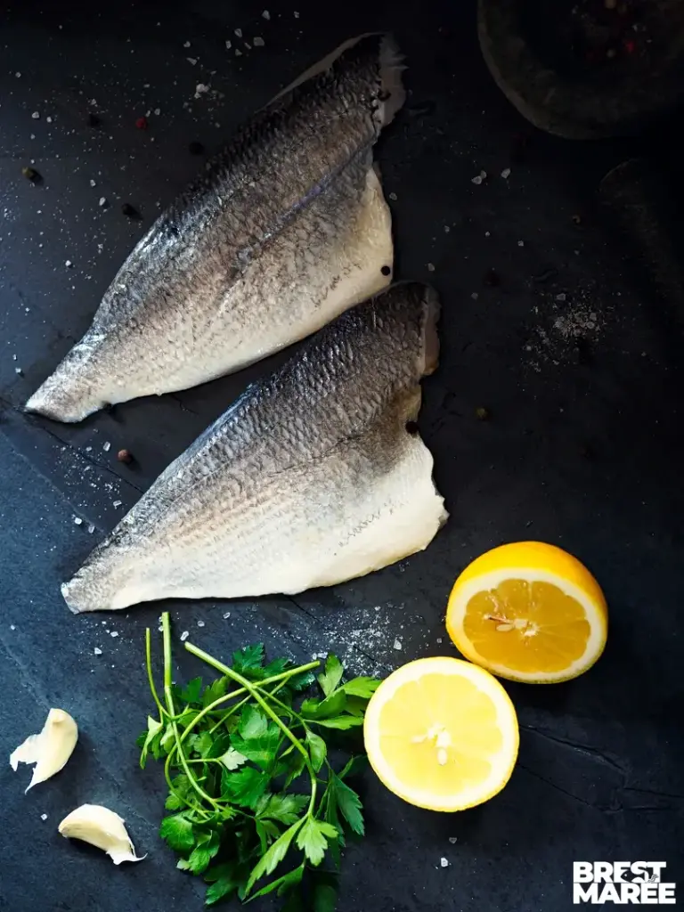 Filet de Dorade Grise