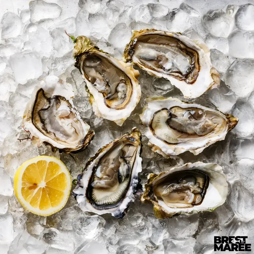 Huîtres Creuses La Paimpolaise du Large N°3