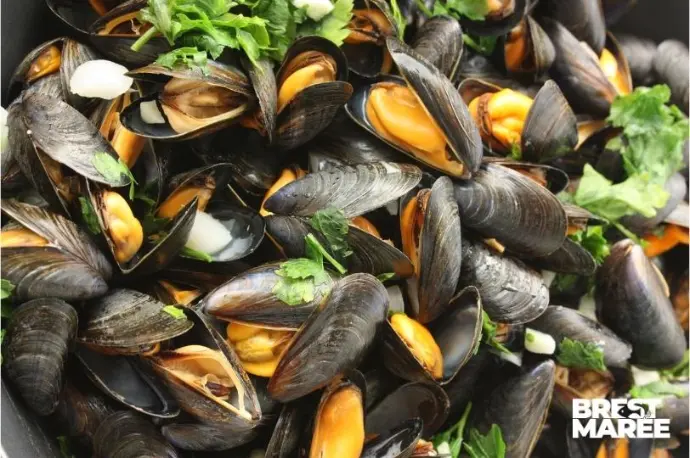 Moules de Bouchot AOP Baie du Mont St-Michel