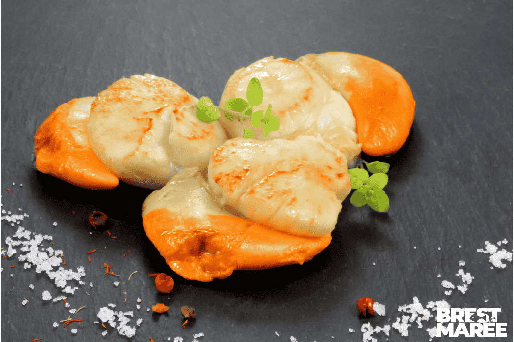 Noix de coquilles Saint-Jacques "Rouge de Brest"