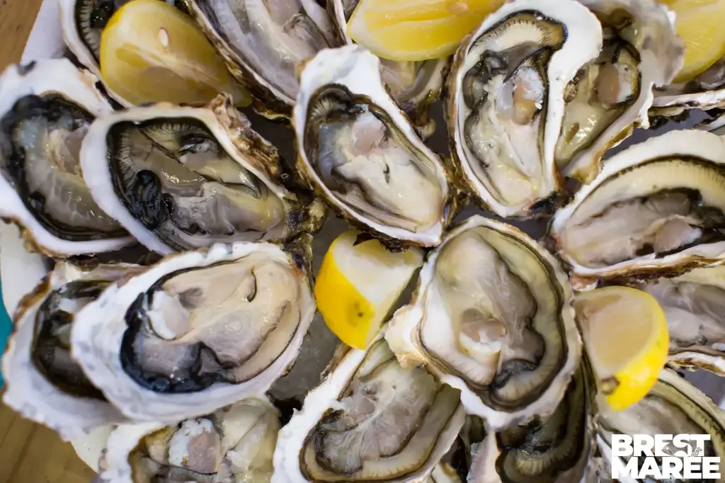 Plateau Huîtres Creuses Ouvertes