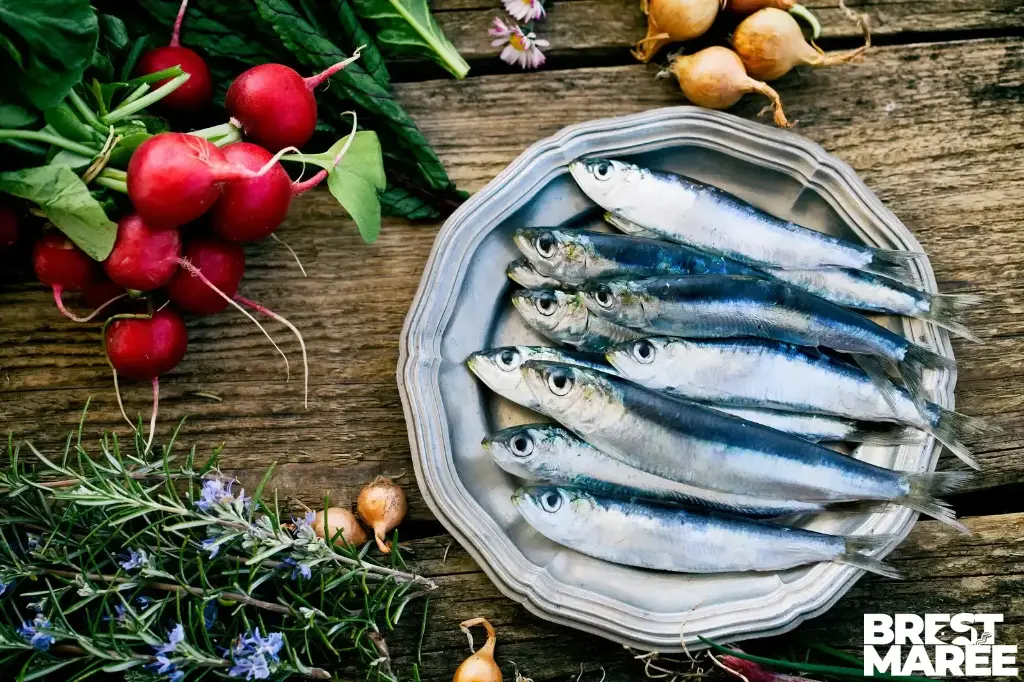 Sardines