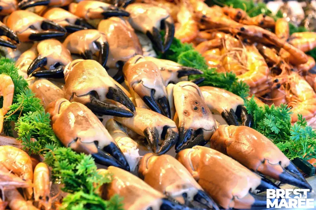 Pinces de Tourteaux Cuites