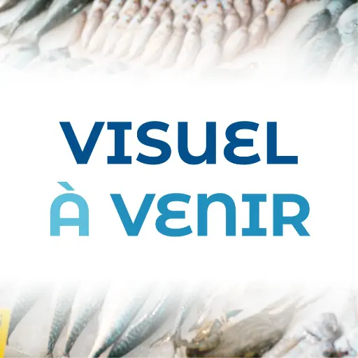 [FILET.04] Filet de Julienne ou Lingue