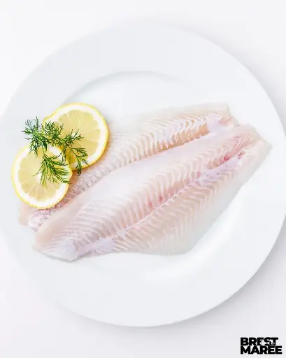 [FILET.16] Filet de Plie ou Carrelet