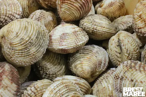 [PRAIR.01.PART] Praires de la Rade de Brest