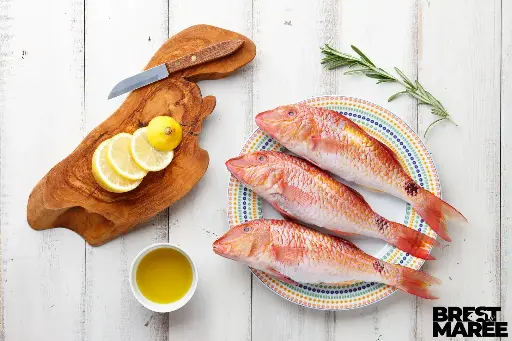 [ROUGET.02] Rouget Barbet