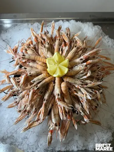 [TINES.08] Plateau de Langoustines Cuites