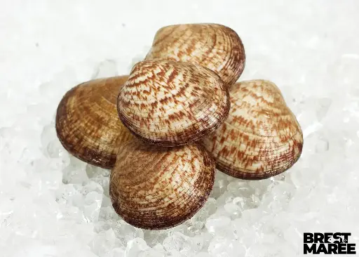 [AMAND.02] Amandes