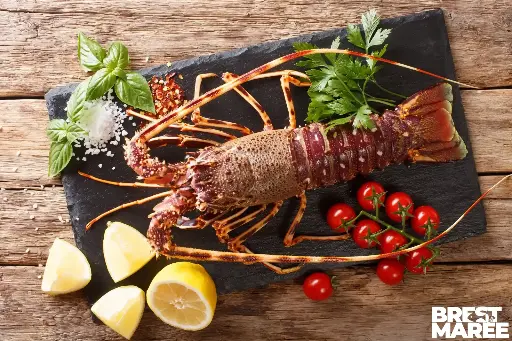 Langouste Royale cuite